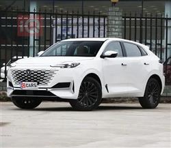 شانجان يوني كي